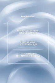 Aqua Boost Barrier Repair Moisturizer