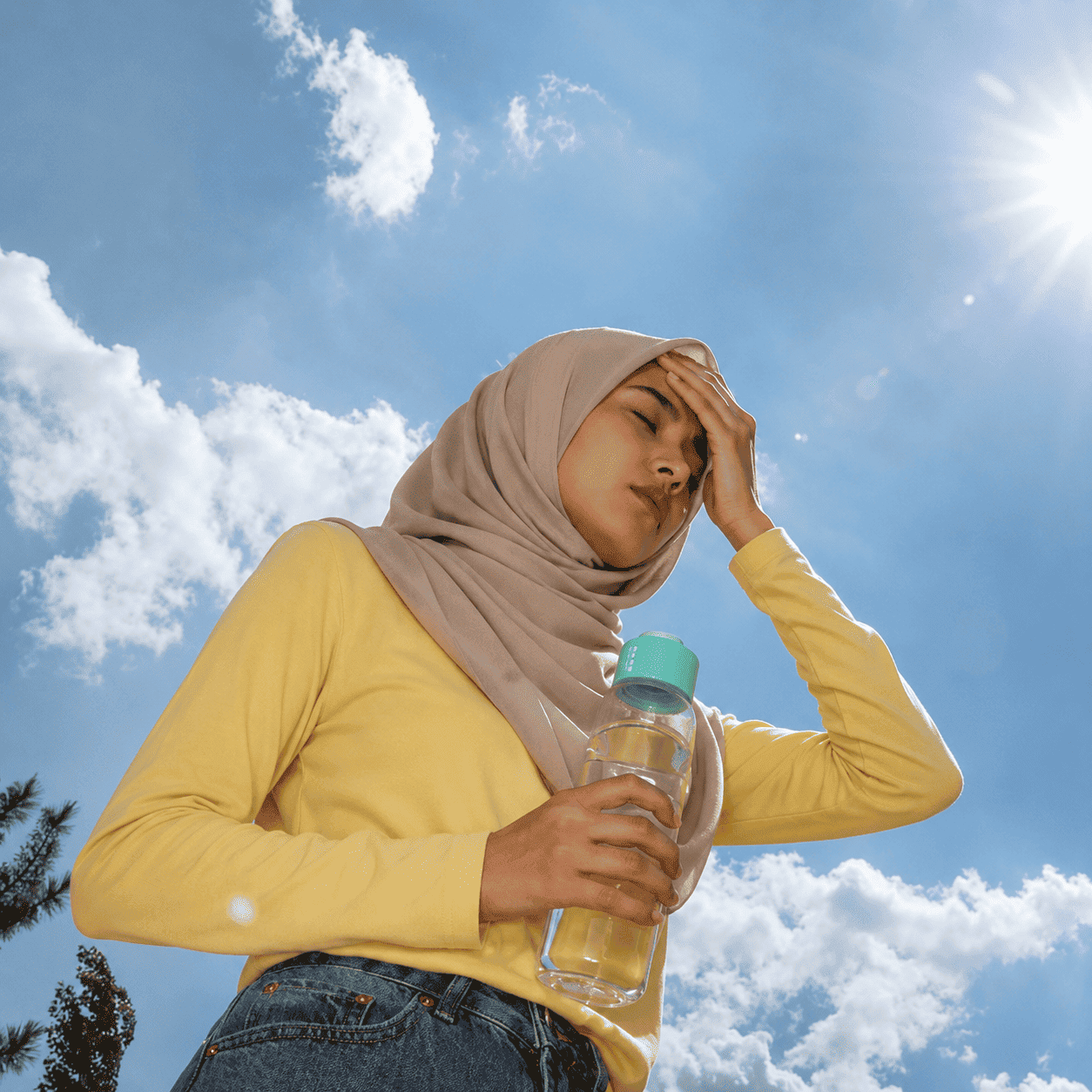 CUURA_Sunlit_Outdoor.png